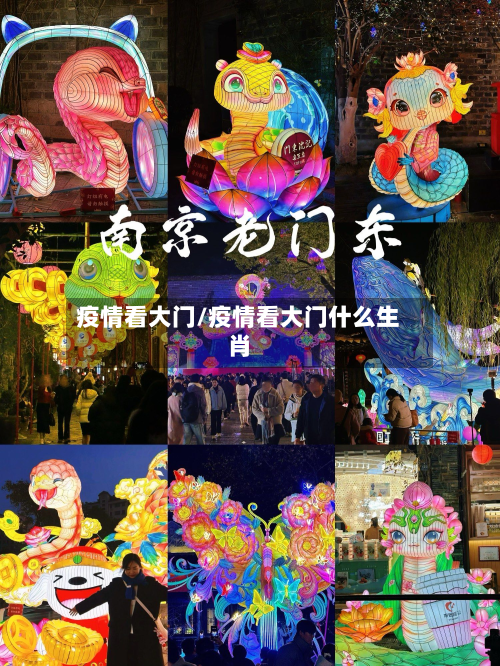 疫情看大门/疫情看大门什么生肖-第1张图片