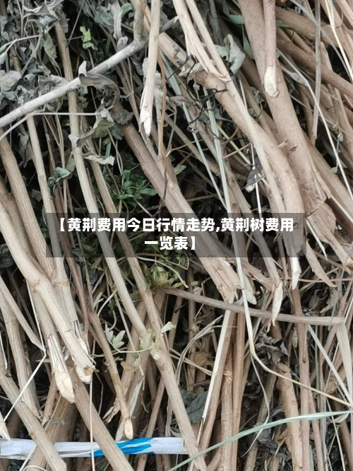 【黄荆费用今日行情走势,黄荆树费用一览表】-第3张图片