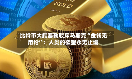 比特币大鳄塞勒驳斥马斯克“金钱无用论”：人类的欲望永无止境-第3张图片