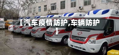 【汽车疫情防护,车辆防护】-第3张图片
