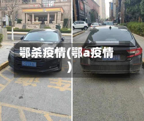 鄂杀疫情(鄂a疫情)-第3张图片