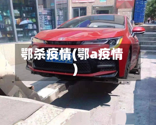 鄂杀疫情(鄂a疫情)-第2张图片