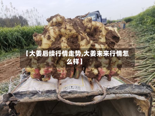 【大姜后续行情走势,大姜未来行情怎么样】-第1张图片