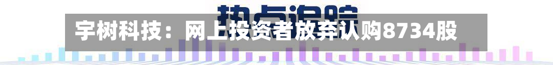 宇树科技:网上投资者放弃认购8734股-第2张图片