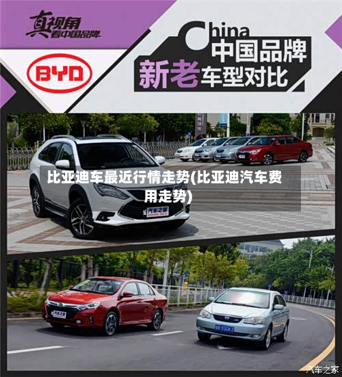 比亚迪车最近行情走势(比亚迪汽车费用走势)-第1张图片