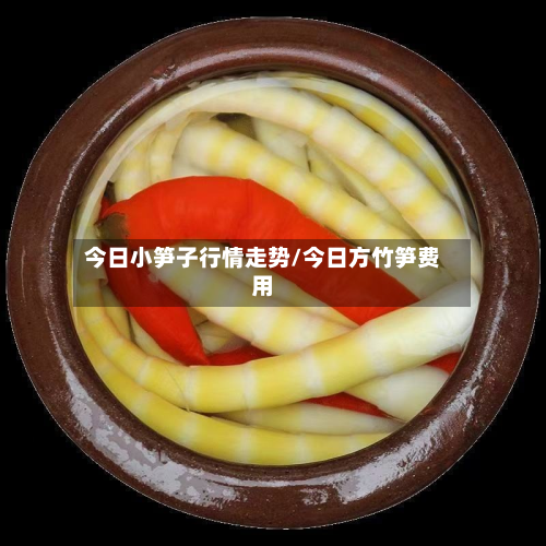 今日小笋子行情走势/今日方竹笋费用-第3张图片