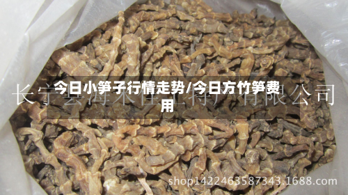 今日小笋子行情走势/今日方竹笋费用-第2张图片