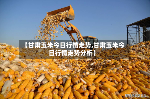 【甘肃玉米今日行情走势,甘肃玉米今日行情走势分析】-第1张图片
