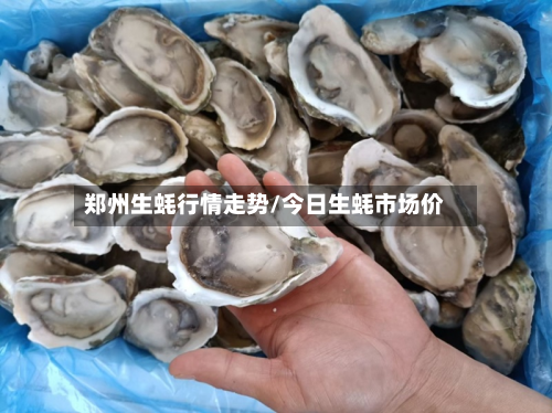 郑州生蚝行情走势/今日生蚝市场价-第2张图片