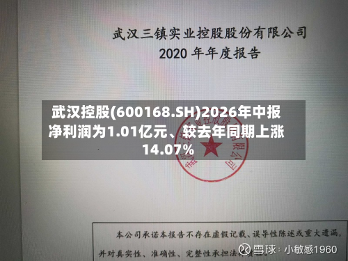 武汉控股(600168.SH)2026年中报净利润为1.01亿元、较去年同期上涨14.07%-第1张图片