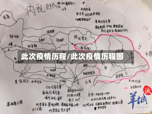 此次疫情历程/此次疫情历程图-第1张图片