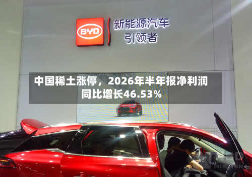 中国稀土涨停，2026年半年报净利润同比增长46.53%-第1张图片