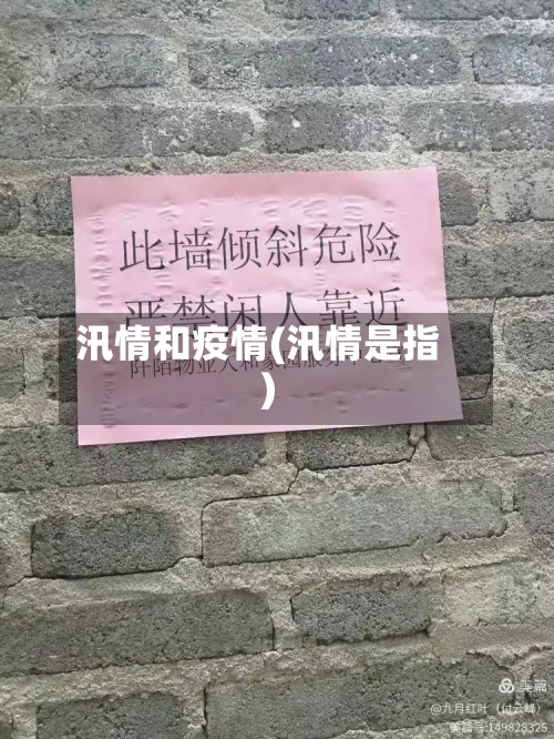 汛情和疫情(汛情是指)-第3张图片