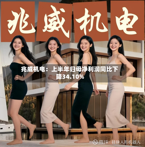 兆威机电：上半年归母净利润同比下降34.10%-第2张图片