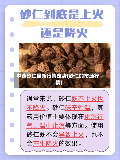 中药砂仁最新行情走势(砂仁的市场行情)-第2张图片