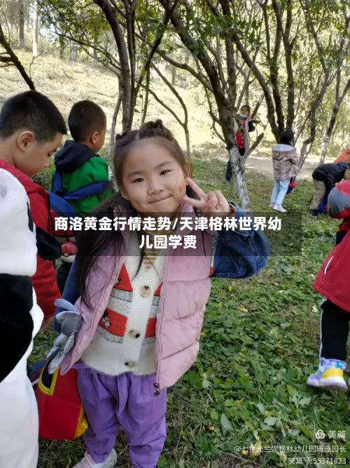 商洛黄金行情走势/天津格林世界幼儿园学费-第2张图片