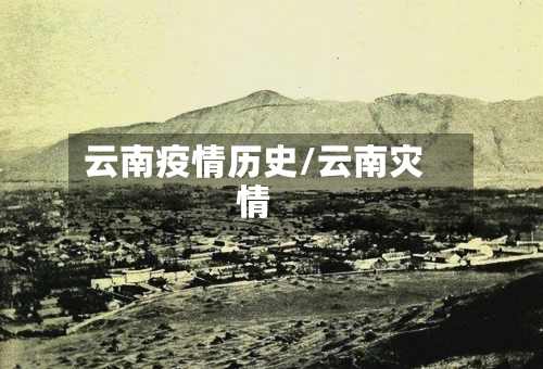 云南疫情历史/云南灾情-第1张图片