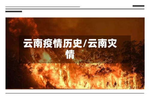云南疫情历史/云南灾情-第2张图片