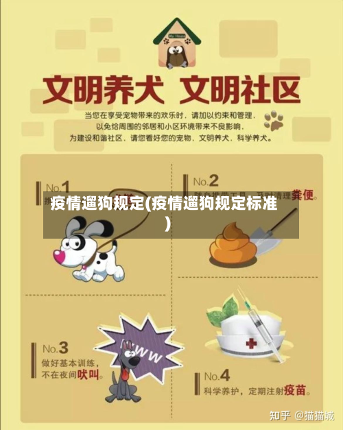 疫情遛狗规定(疫情遛狗规定标准)-第2张图片