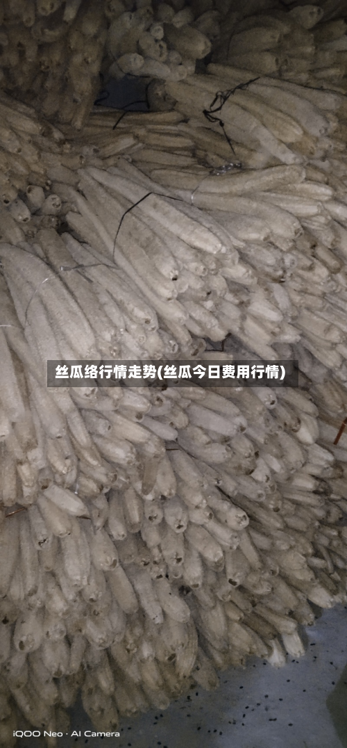 丝瓜络行情走势(丝瓜今日费用行情)-第2张图片