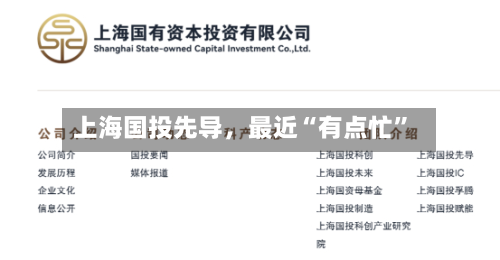 上海国投先导，最近“有点忙”-第2张图片