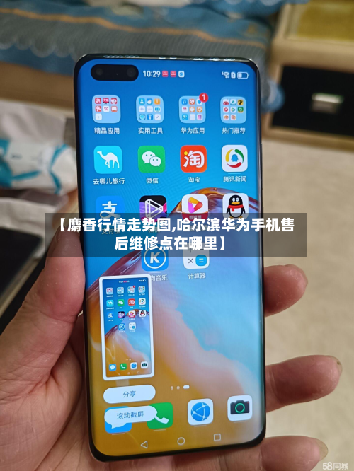 【麝香行情走势图,哈尔滨华为手机售后维修点在哪里】-第2张图片