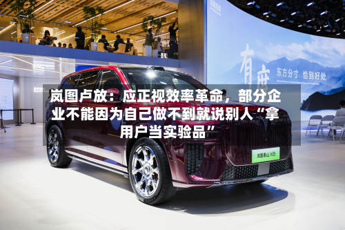 岚图卢放：应正视效率革命，部分企业不能因为自己做不到就说别人“拿用户当实验品	”-第1张图片