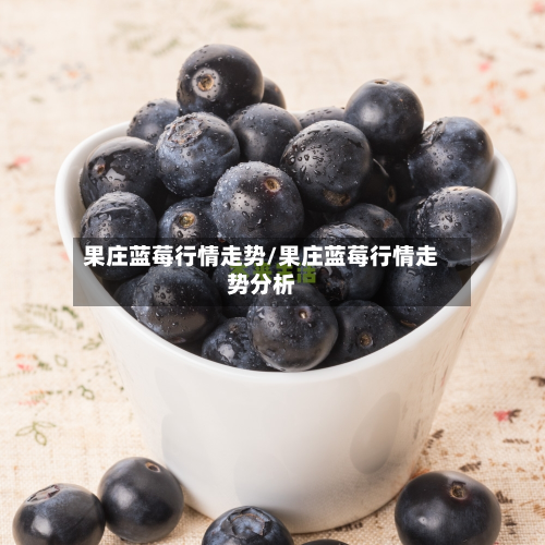 果庄蓝莓行情走势/果庄蓝莓行情走势分析-第3张图片