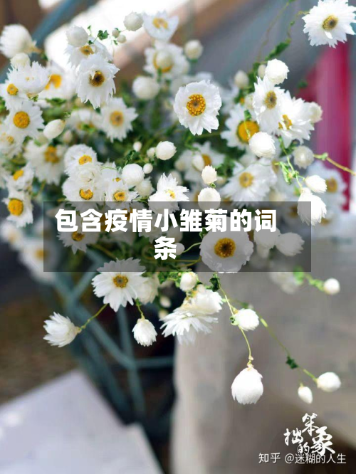 包含疫情小雏菊的词条-第3张图片