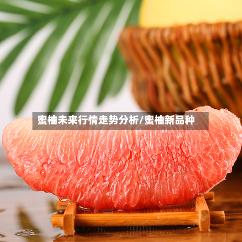 蜜柚未来行情走势分析/蜜柚新品种-第3张图片