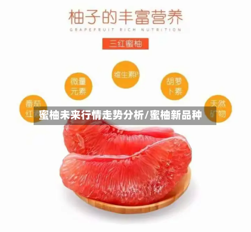 蜜柚未来行情走势分析/蜜柚新品种-第2张图片