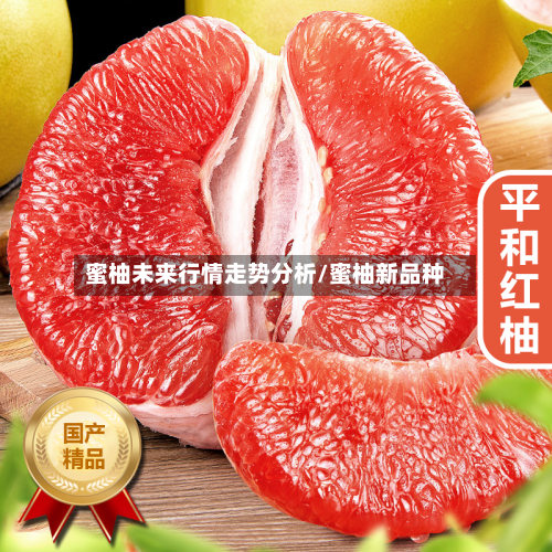 蜜柚未来行情走势分析/蜜柚新品种-第1张图片