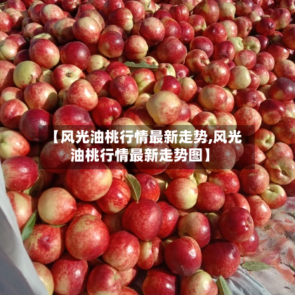 【风光油桃行情最新走势,风光油桃行情最新走势图】-第2张图片