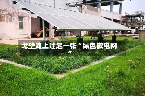 戈壁滩上建起一张“绿色微电网”-第1张图片