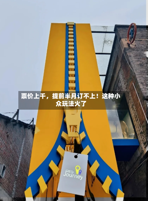票价上千，提前半月订不上！这种小众玩法火了-第1张图片