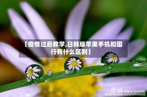 【疫情过后教学,日韩版苹果手机和国行有什么区别】-第3张图片