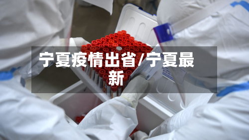 宁夏疫情出省/宁夏最新-第3张图片