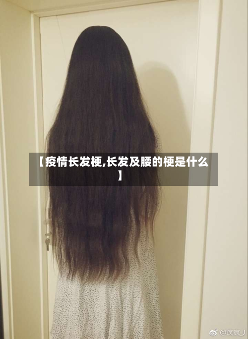 【疫情长发梗,长发及腰的梗是什么】-第2张图片