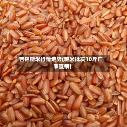 吉林糙米行情走势(糙米批发10斤厂家直销)-第1张图片