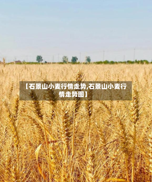 【石景山小麦行情走势,石景山小麦行情走势图】-第3张图片