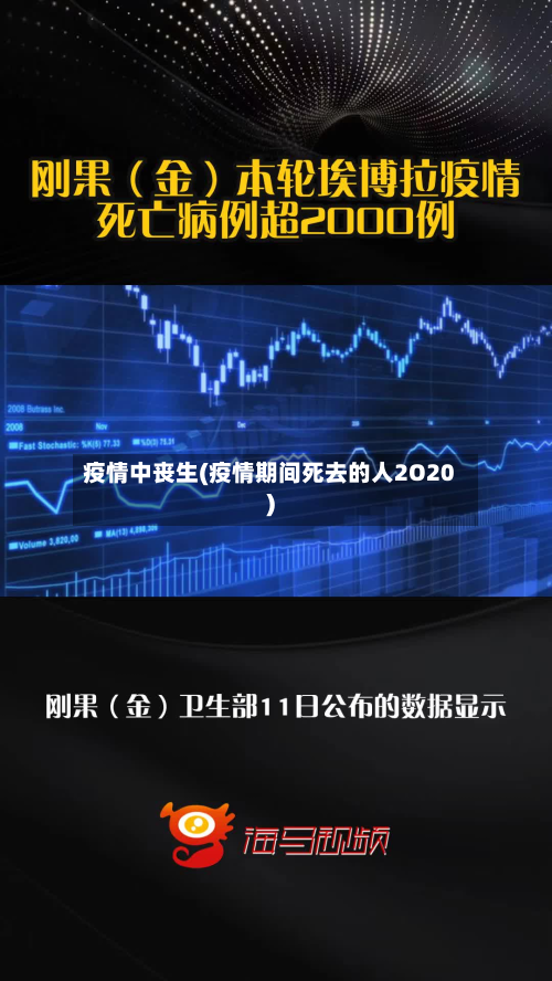 疫情中丧生(疫情期间死去的人2O20)-第1张图片