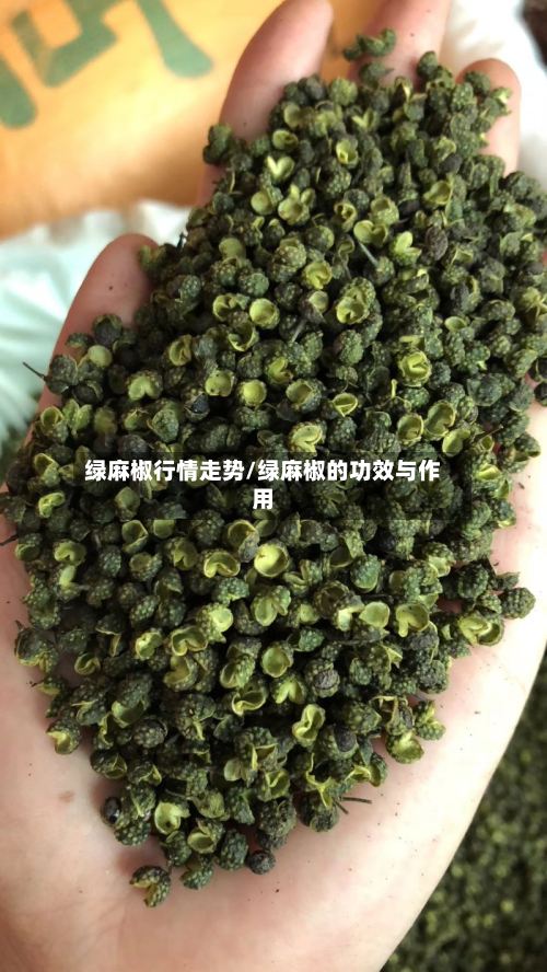 绿麻椒行情走势/绿麻椒的功效与作用-第1张图片