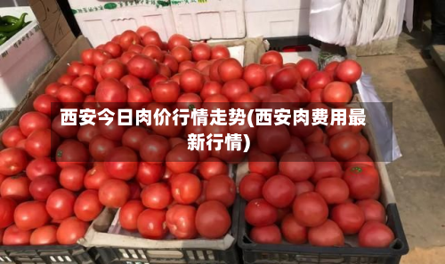 西安今日肉价行情走势(西安肉费用最新行情)-第2张图片