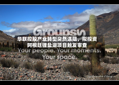 华联控股产业转型突然遇阻，拟投资阿根廷锂盐湖项目触发审查-第2张图片
