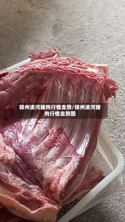 锦州凌河猪肉行情走势/锦州凌河猪肉行情走势图-第1张图片