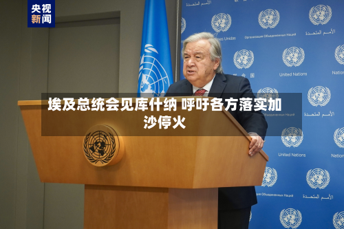 埃及总统会见库什纳 呼吁各方落实加沙停火-第2张图片