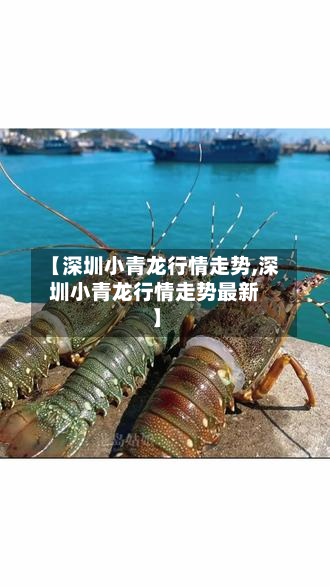 【深圳小青龙行情走势,深圳小青龙行情走势最新】-第1张图片