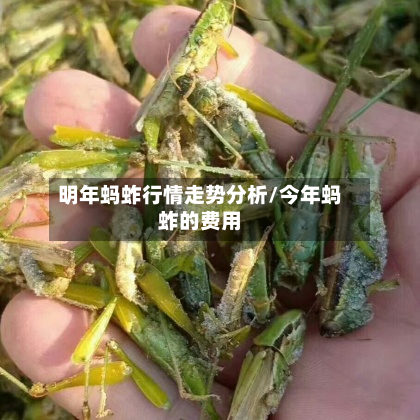 明年蚂蚱行情走势分析/今年蚂蚱的费用-第2张图片