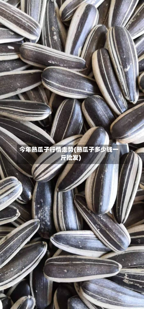 今年熟瓜子行情走势(熟瓜子多少钱一斤批发)-第1张图片