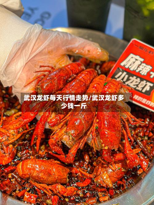 武汉龙虾每天行情走势/武汉龙虾多少钱一斤-第2张图片